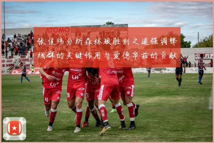 张佳玮分析森林狼胜利之道强调锋线群的关键作用与爱德华兹的贡献