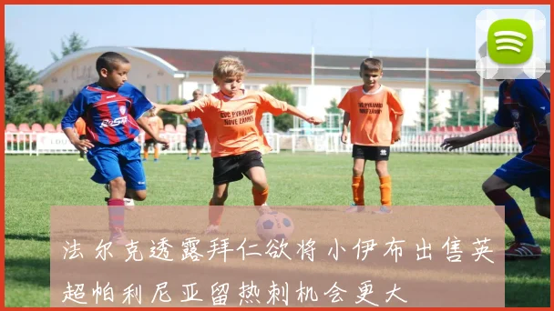 法尔克透露拜仁欲将小伊布出售英超帕利尼亚留热刺机会更大