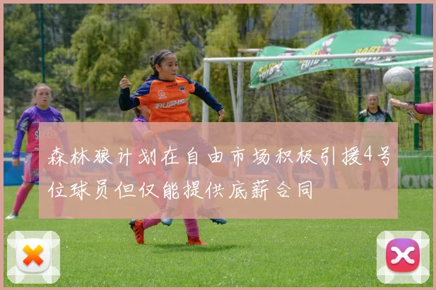 森林狼计划在自由市场积极引援4号位球员但仅能提供底薪合同